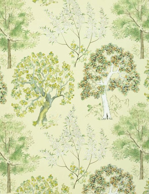 Ткань Designers Guild Rosa chinensis FQ042/01