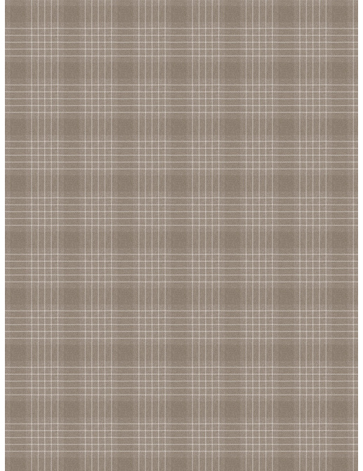 Ткань Fabricut Vignettes Vol.XIII Platinum Jonatan/Flannel