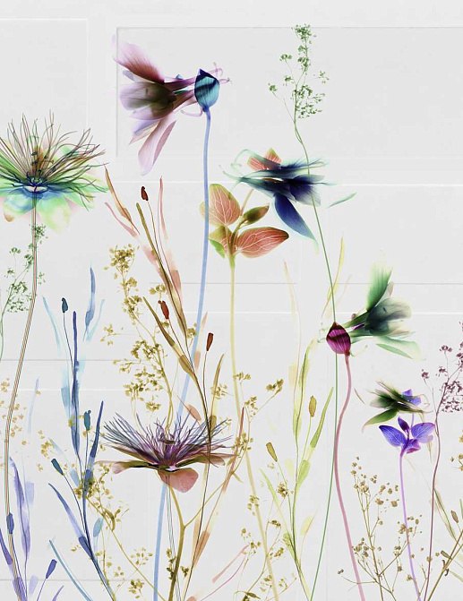 Обои Glamora Creative Wallcovering GLXI271A