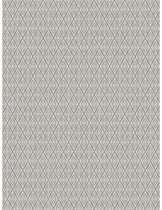 Ткань Fabricut Chromatics Vol.XXIII Zinc Teff Diamond/Silver