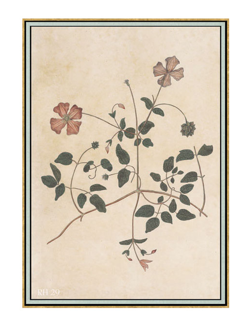 Панно и фотообои Iksel Scenic & Architectural Wallpapers Renaissance Herbier RH29