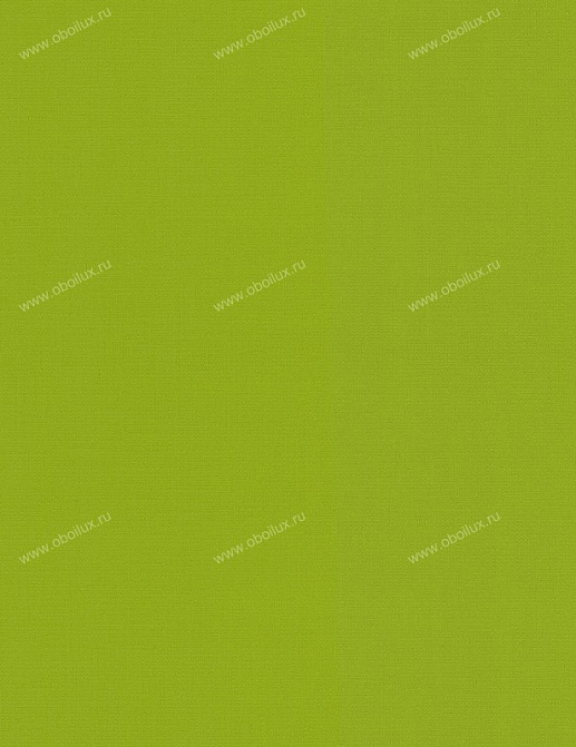 Обои A. S. Creation Colour Courage 8056-52
