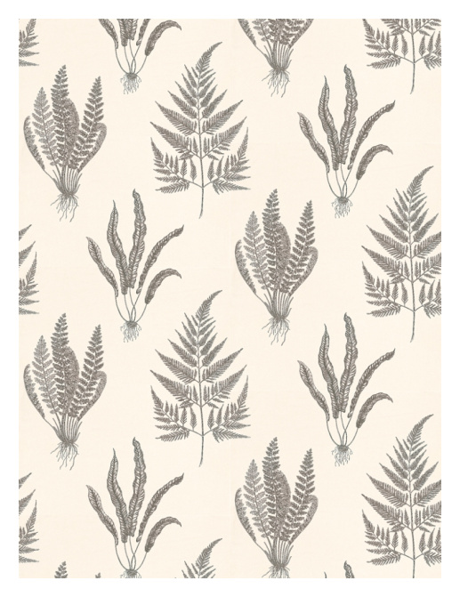 Обои Sanderson Wallpapers from a Painters Garden DAPGWO105