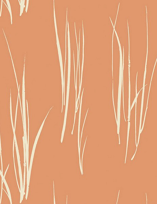 Обои Paper & Ink Coastal Chic CO10801