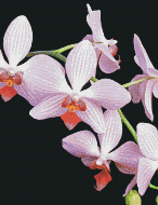 Обои Mozzle Floral MZ00521-001