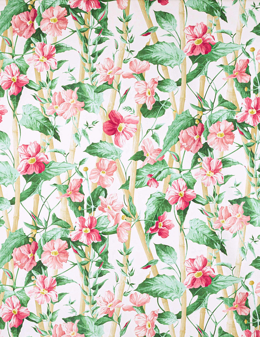 Ткань Manuel Canovas Castellane M4104/01