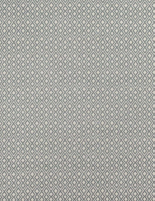 Ткань Thibaut Woven Resource vol.7 Companions W79647