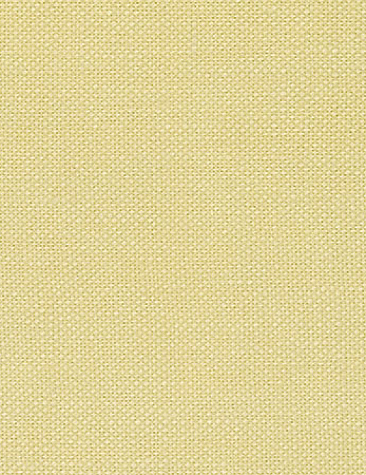 Ткань Designers Guild Bassano F1562/39