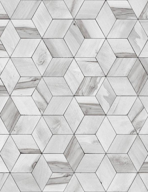 Обои Ugepa Hexagone L59209