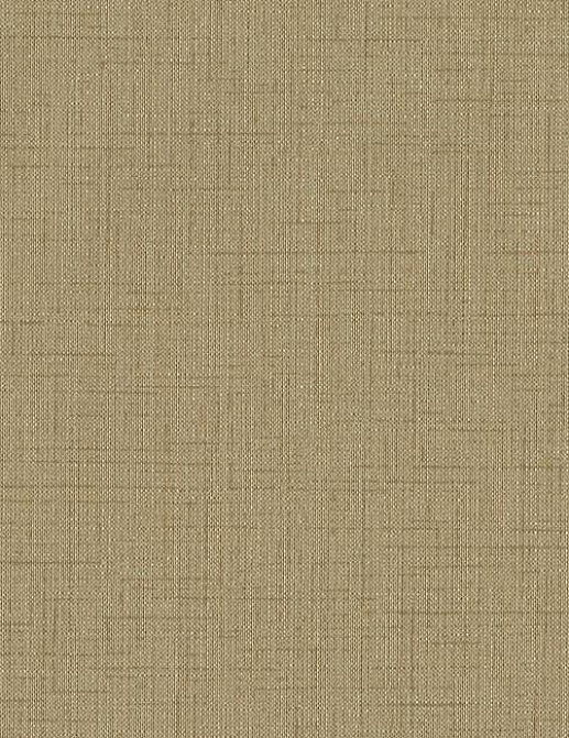 Обои York Stacy Garcia - Paper Muse SG2548N