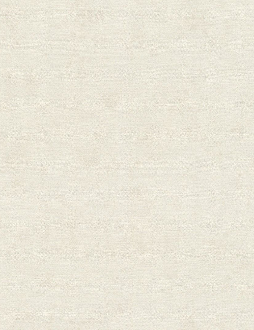 Обои Rasch Kimono 408126