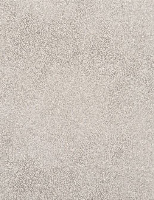Ткань Designers Guild Nevada FDG2538/07