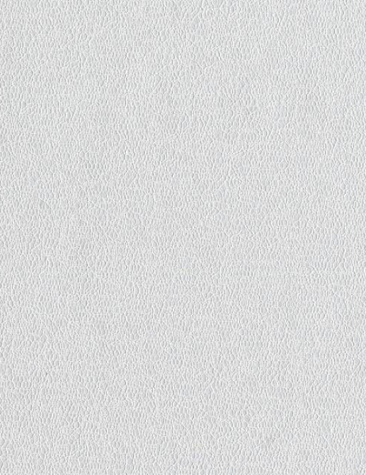 Обои York Candice Olson - Terrain COD0557N