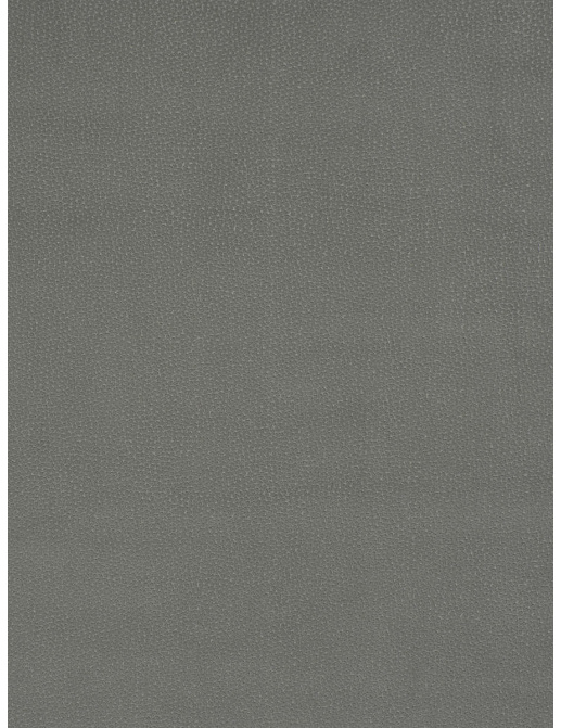 Ткань Trend Lifestyles By Color vol.IX Shadow/Charcoal 04627/silver