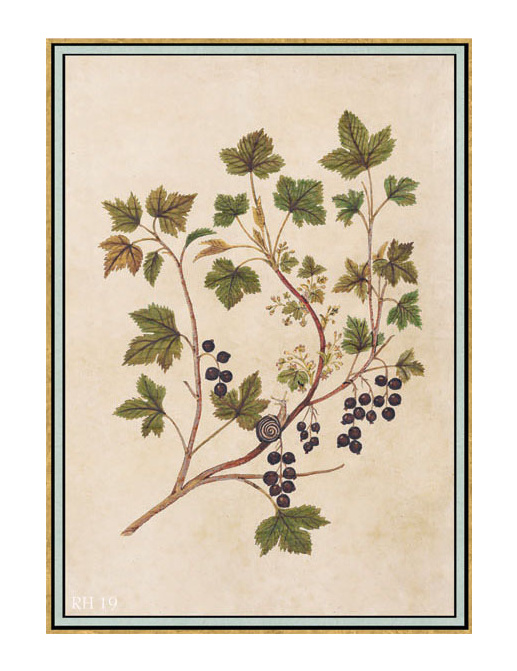 Панно и фотообои Iksel Scenic & Architectural Wallpapers Renaissance Herbier RH19