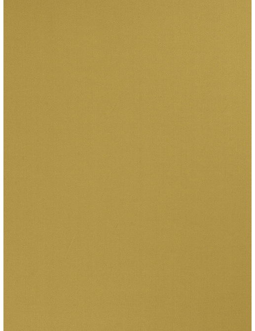 Ткань Trend Multipurpose Sleek Satin Vol.II 02022/Turtle