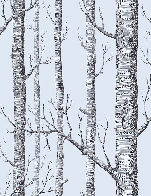 Обои Cole & Son New Contemporary 2 69/12150