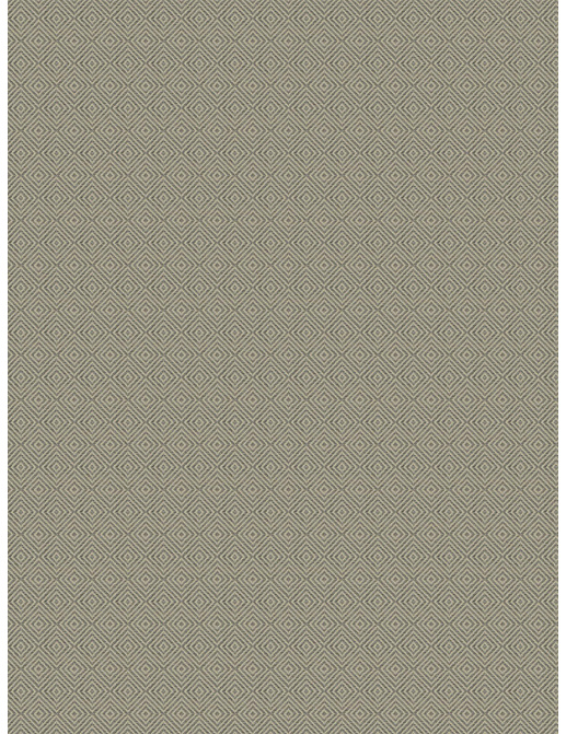 Ткань Trend Lifestyles By Color vol.IX Sand/Storm 04602/silver
