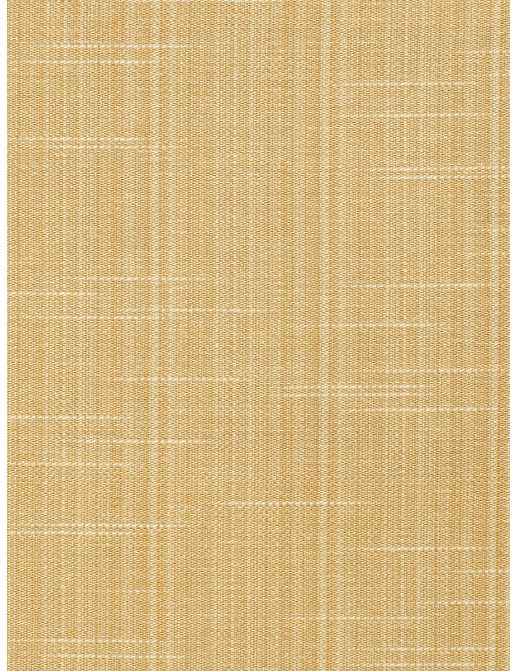 Ткань Trend Timeless embroidery 02336 Honey