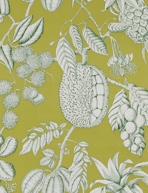 Обои Manuel Canovas Balangan 03106-03
