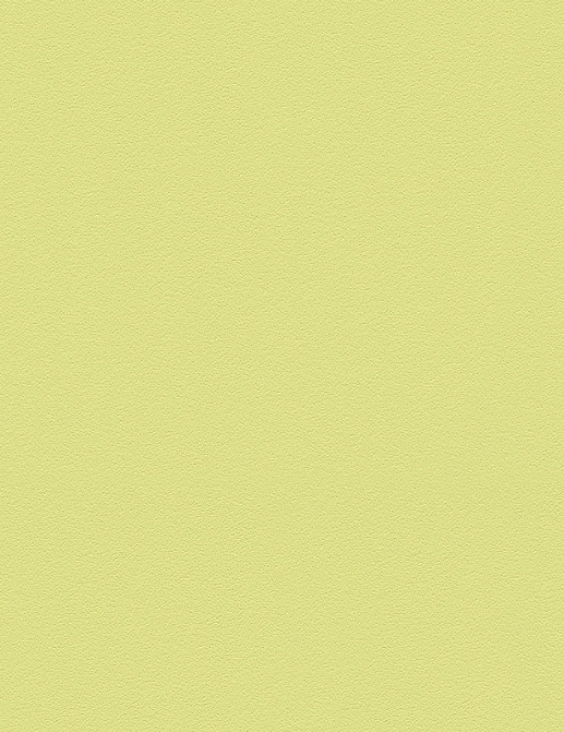 Обои A. S. Creation Die Glatte Wand 309556