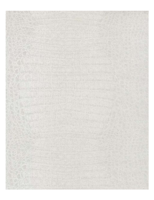 Обои Today Interiors Essence 505-1
