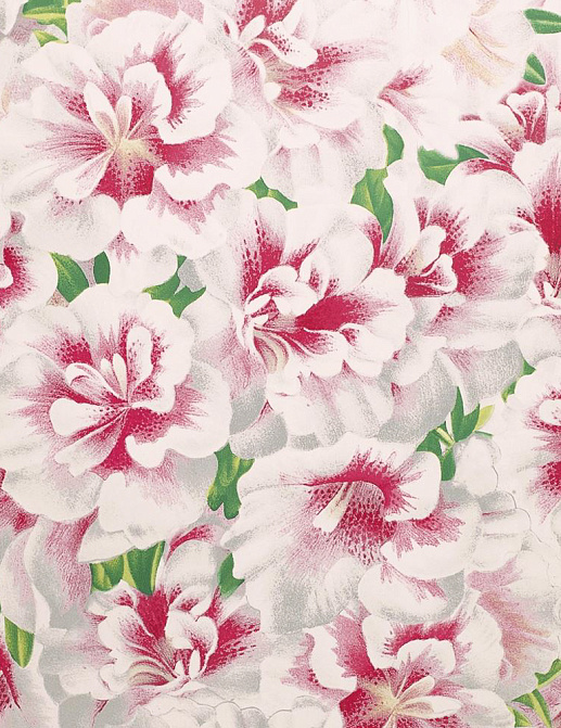 Обои Designers Guild John Derian - Picture Book PJD6004-01