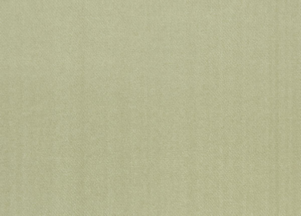 Ткань Designers Guild Moray F1740/06