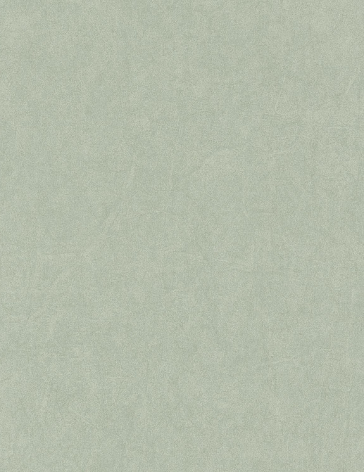 Обои Casadeco Cotton Touch COTO84077227