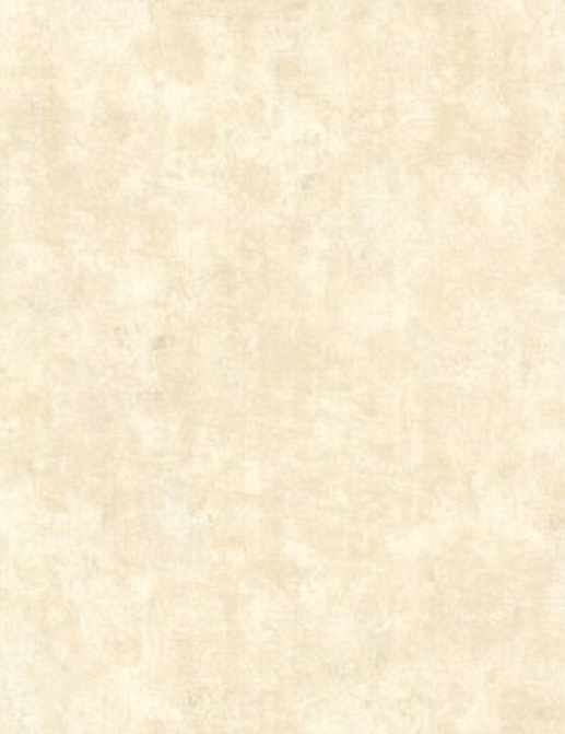 Обои Chelsea Decor Roma CD003135