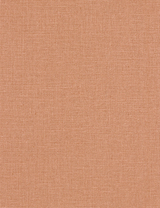 Обои Caselio Jute JTE104014020