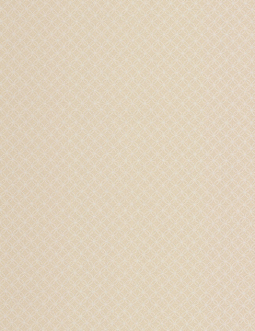 Обои Chelsea Decor Vision DL22845