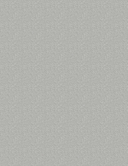 Обои Architector Black & White 1821628