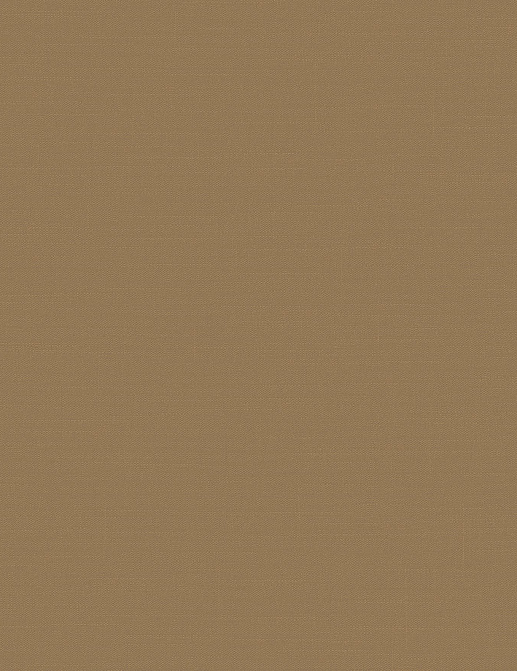 Обои Loymina Шервуд BRIT31004
