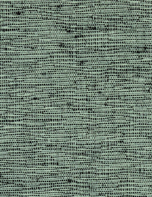Обои Pierre Frey Graminees 2 FP374010
