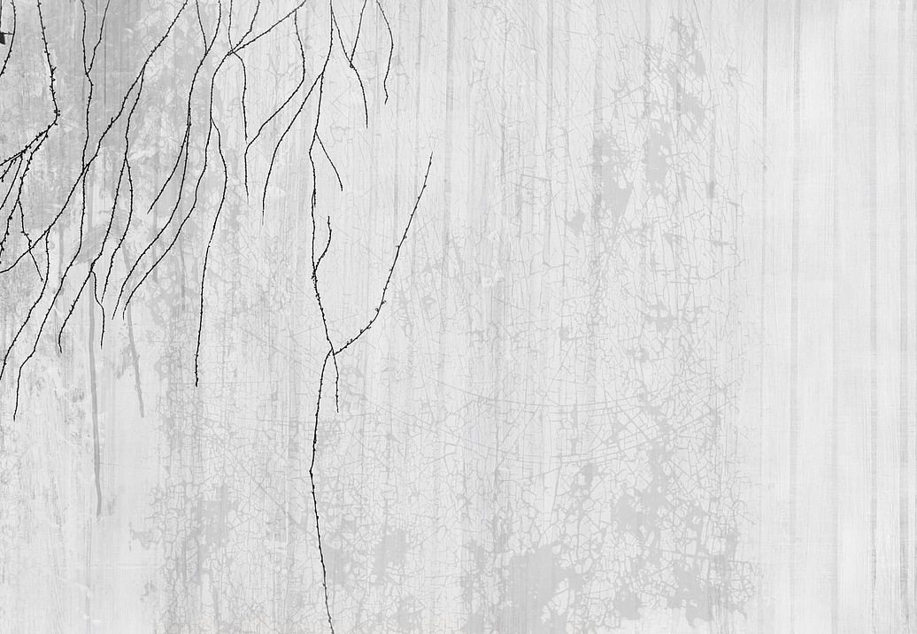 Панно и фотообои Glamora Creative Collection (Chapter XIV) GLXIV201B