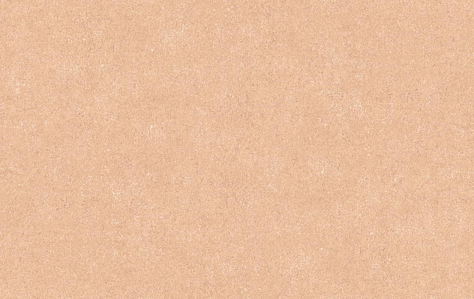 Российские обои Loymina, коллекция Terra, артикул TER3003/2