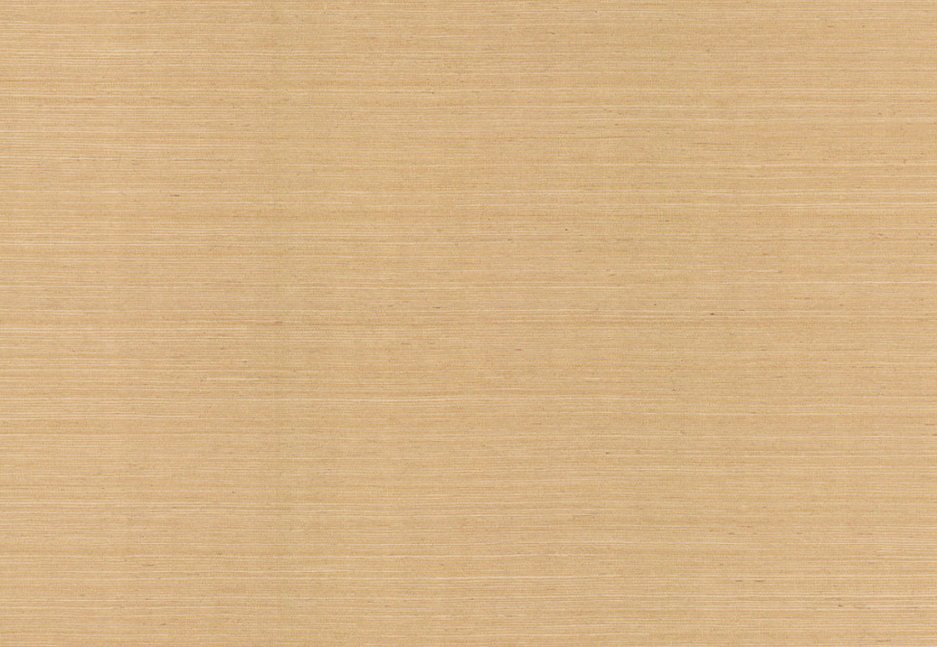 Обои York Ronald Redding Grasscloth & Natural Resource GV0103NW