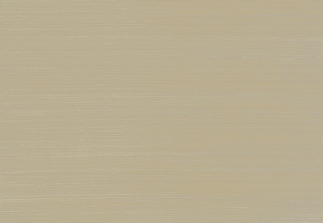 Обои York Ronald Redding Grasscloth & Natural Resource GV0105NW