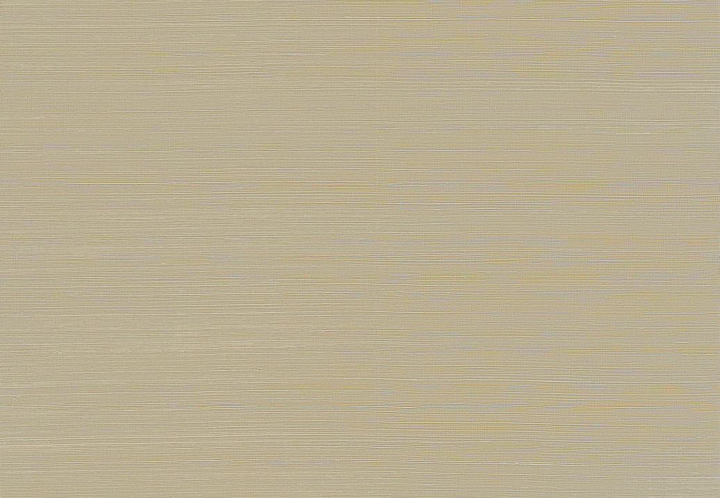 Обои York Ronald Redding Grasscloth & Natural Resource GV0105NW