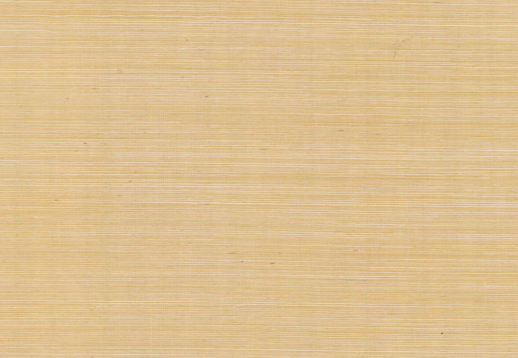 Обои York Ronald Redding Grasscloth & Natural Resource GV0111NW