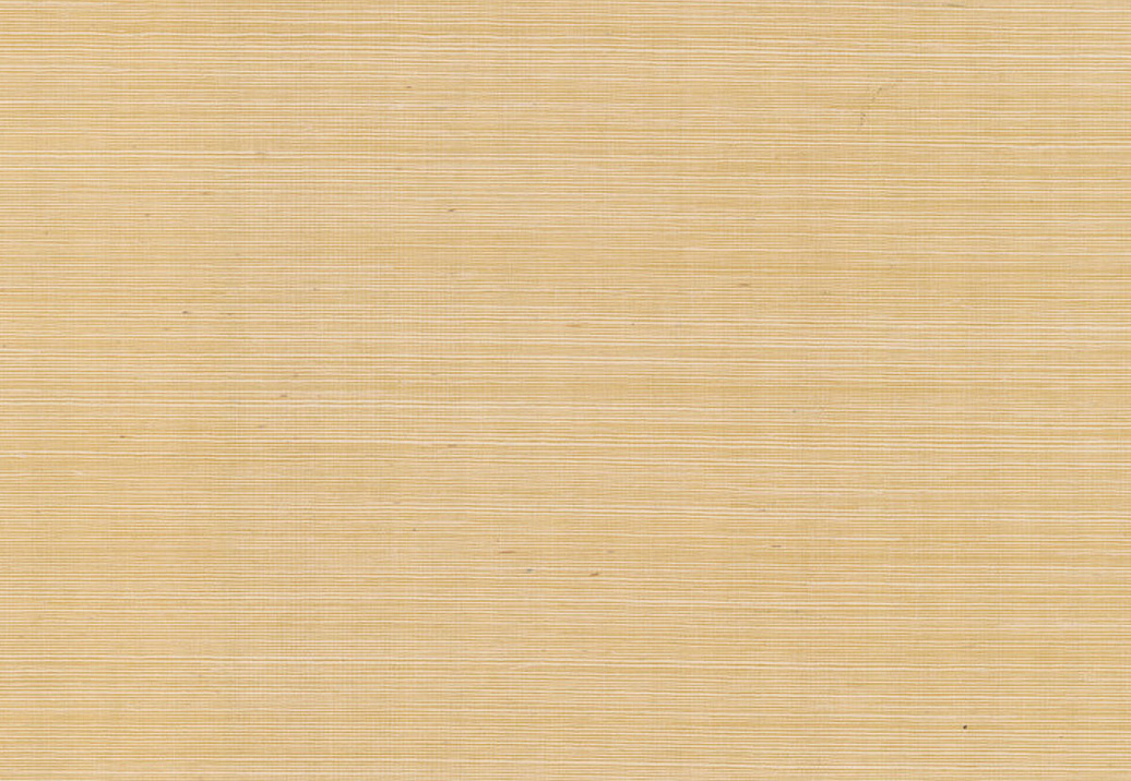 Обои York Ronald Redding Grasscloth & Natural Resource GV0111NW