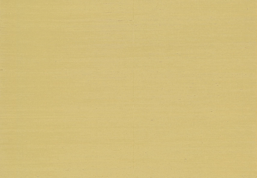 Обои York Ronald Redding Grasscloth & Natural Resource GV0113NW
