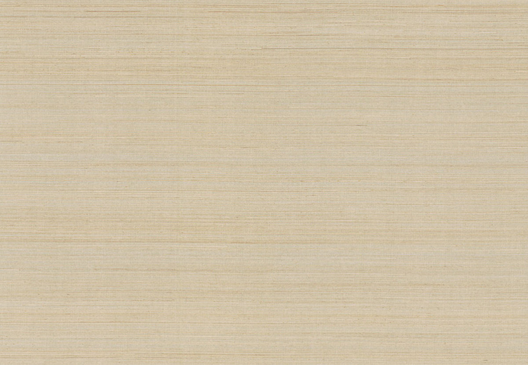 Обои York Ronald Redding Grasscloth & Natural Resource GV0272