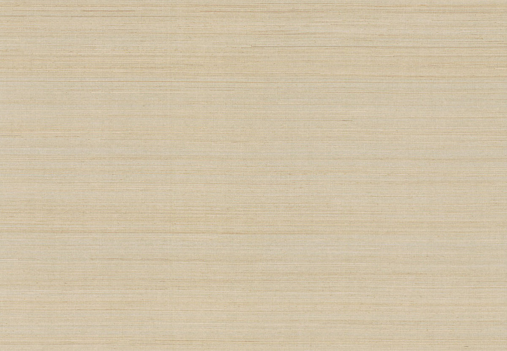 Обои York Ronald Redding Grasscloth & Natural Resource GV0272