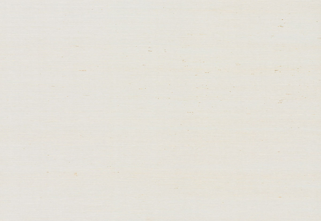 Обои York Ronald Redding Grasscloth & Natural Resource VG0000NW