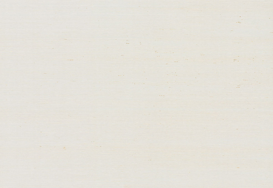 Обои York Ronald Redding Grasscloth & Natural Resource VG0000NW