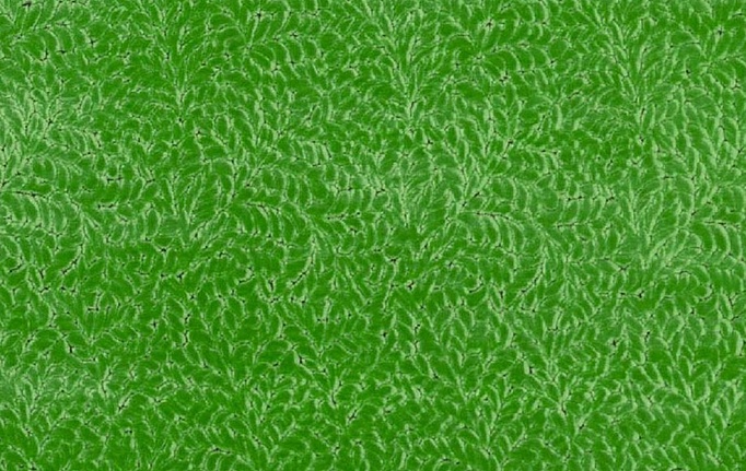 Английская ткань Designers Guild, коллекция Cartouche, артикул FDG3087/05