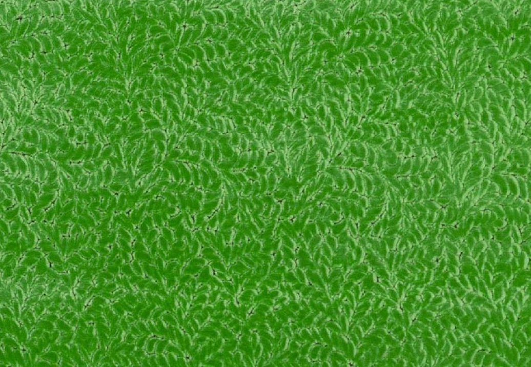 Ткань Designers Guild Cartouche FDG3087/05