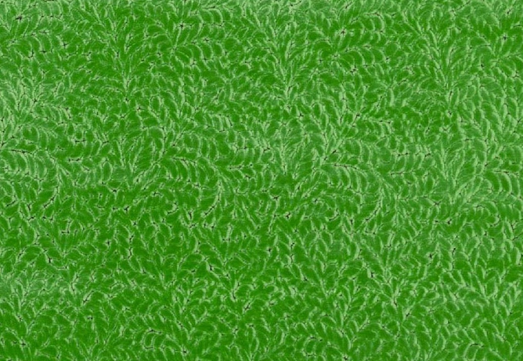 Ткань Designers Guild Cartouche FDG3087/05